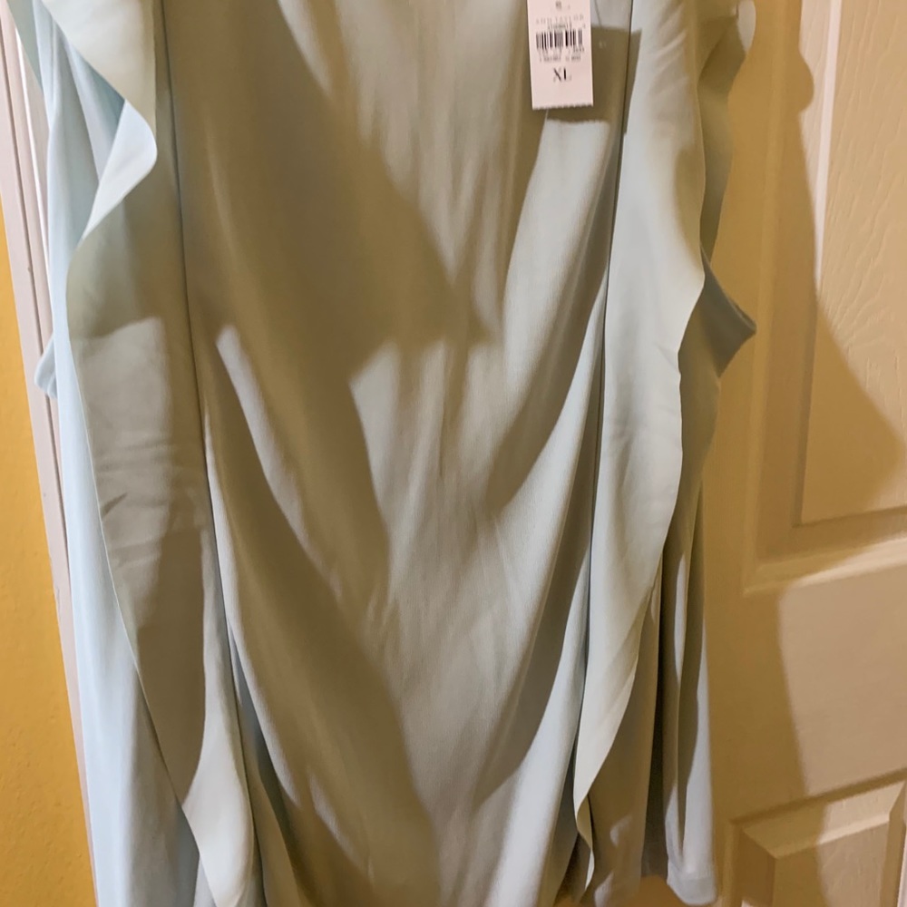 Ann Taylor Ruffled Blouse New with Tags